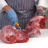 Femur Muscle – Thick Flank Meat Cut Spec Step 2